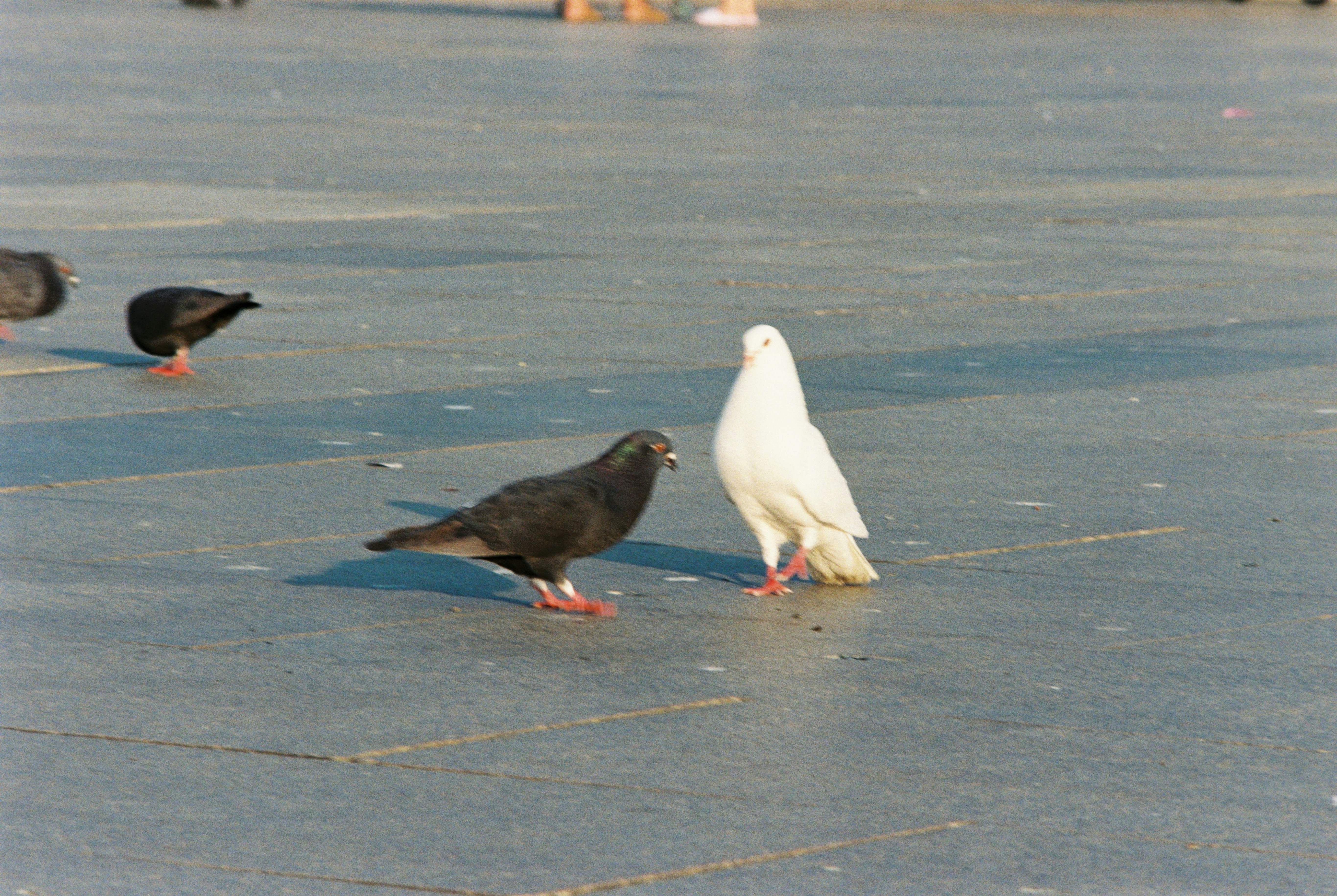 AIナビゲーターの画面が映し出されたスマートフォンの画面